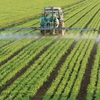 Agropolska's Portfolio
